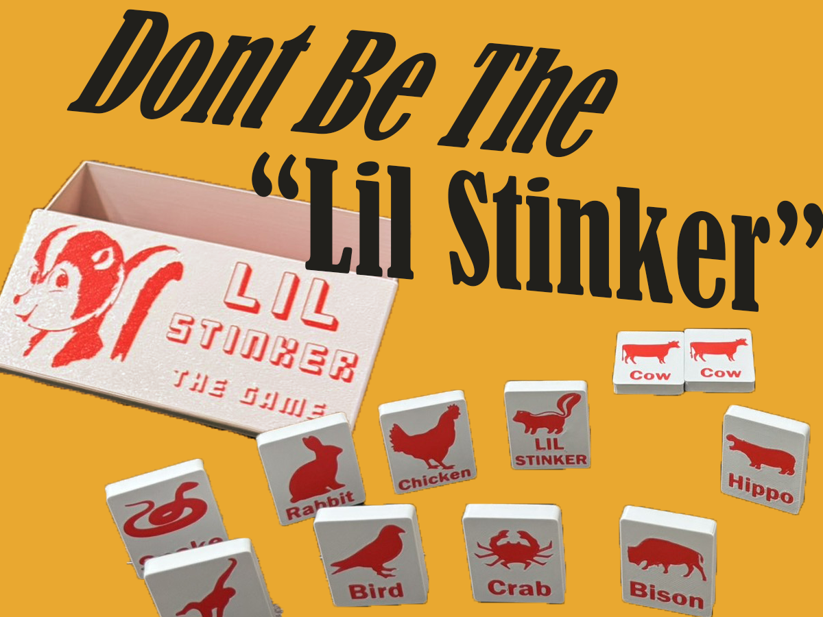 "LIL STINKER" - The Family Game great for all ages