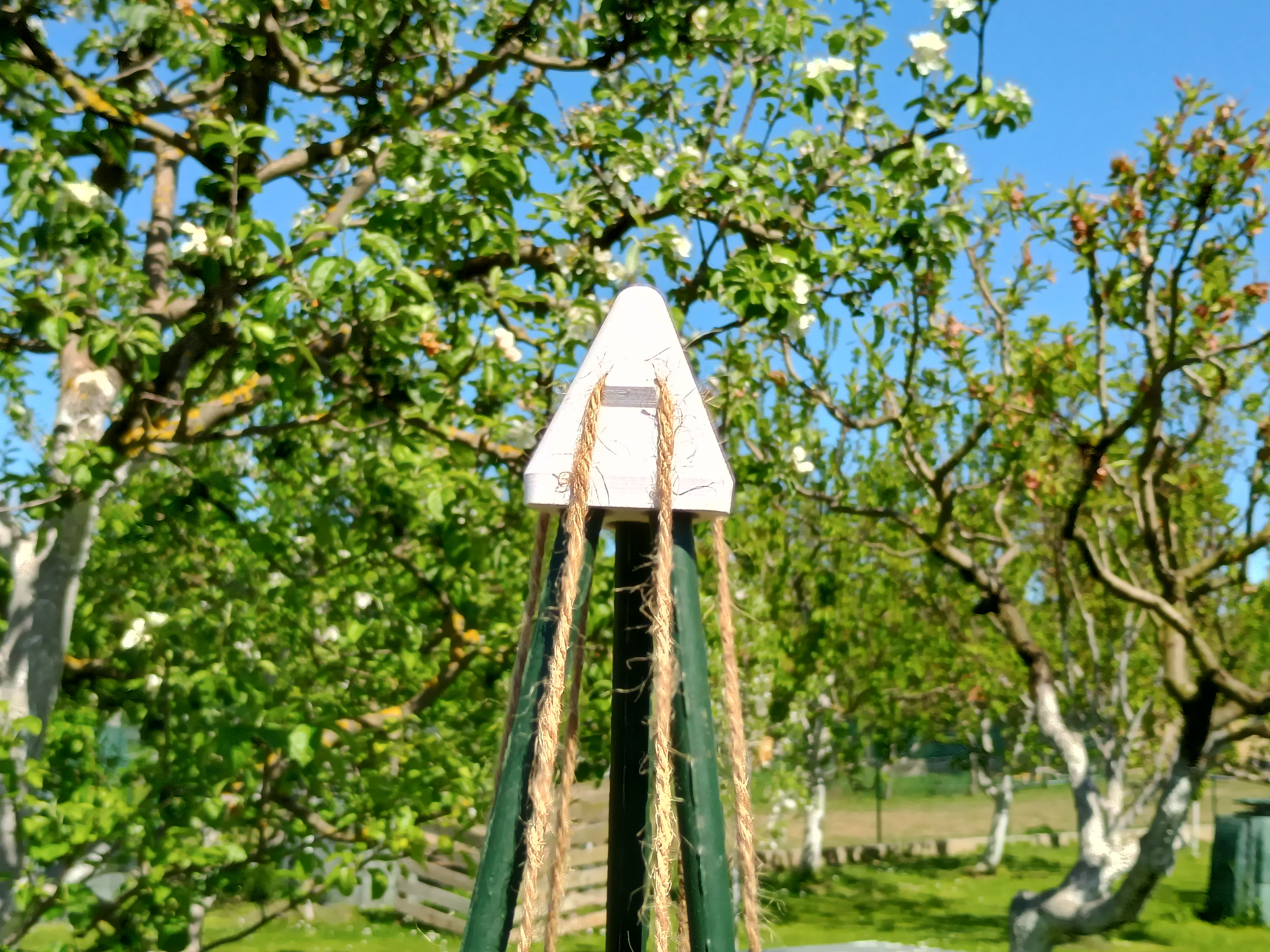 Trellis for plants