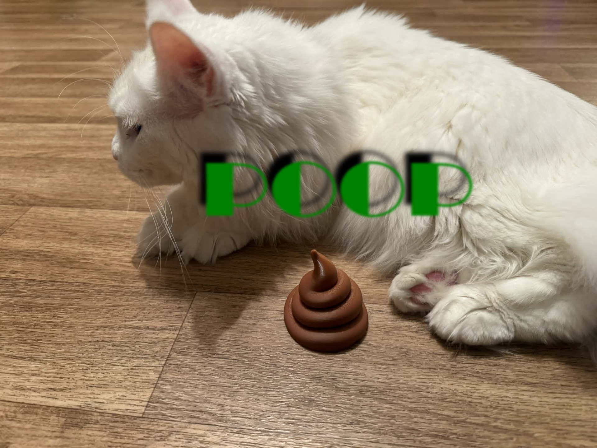 Prank poop,joke