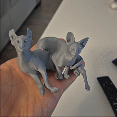Sphynx Cat Duo – Relaxing Pose