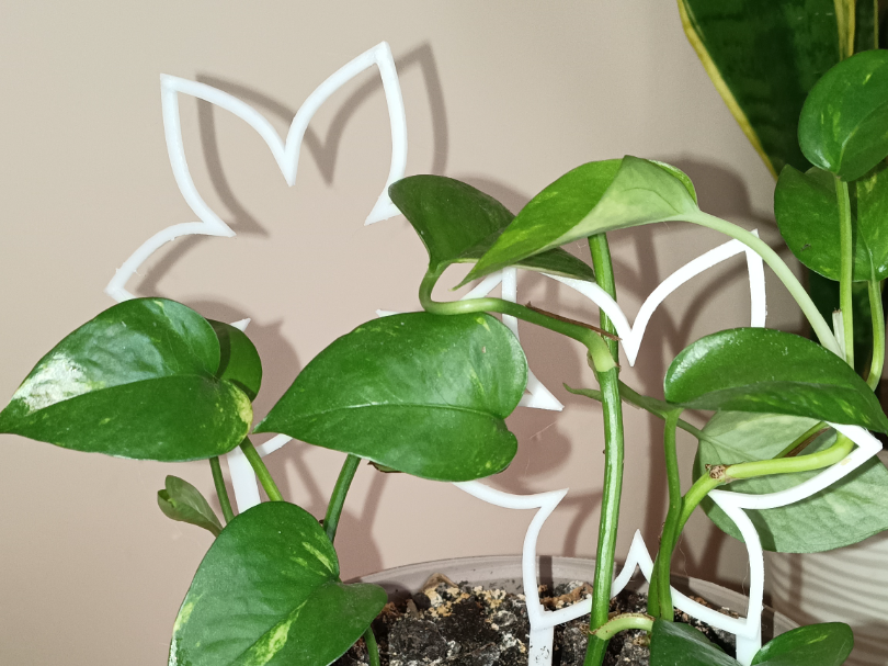 Plant holder trellis modular