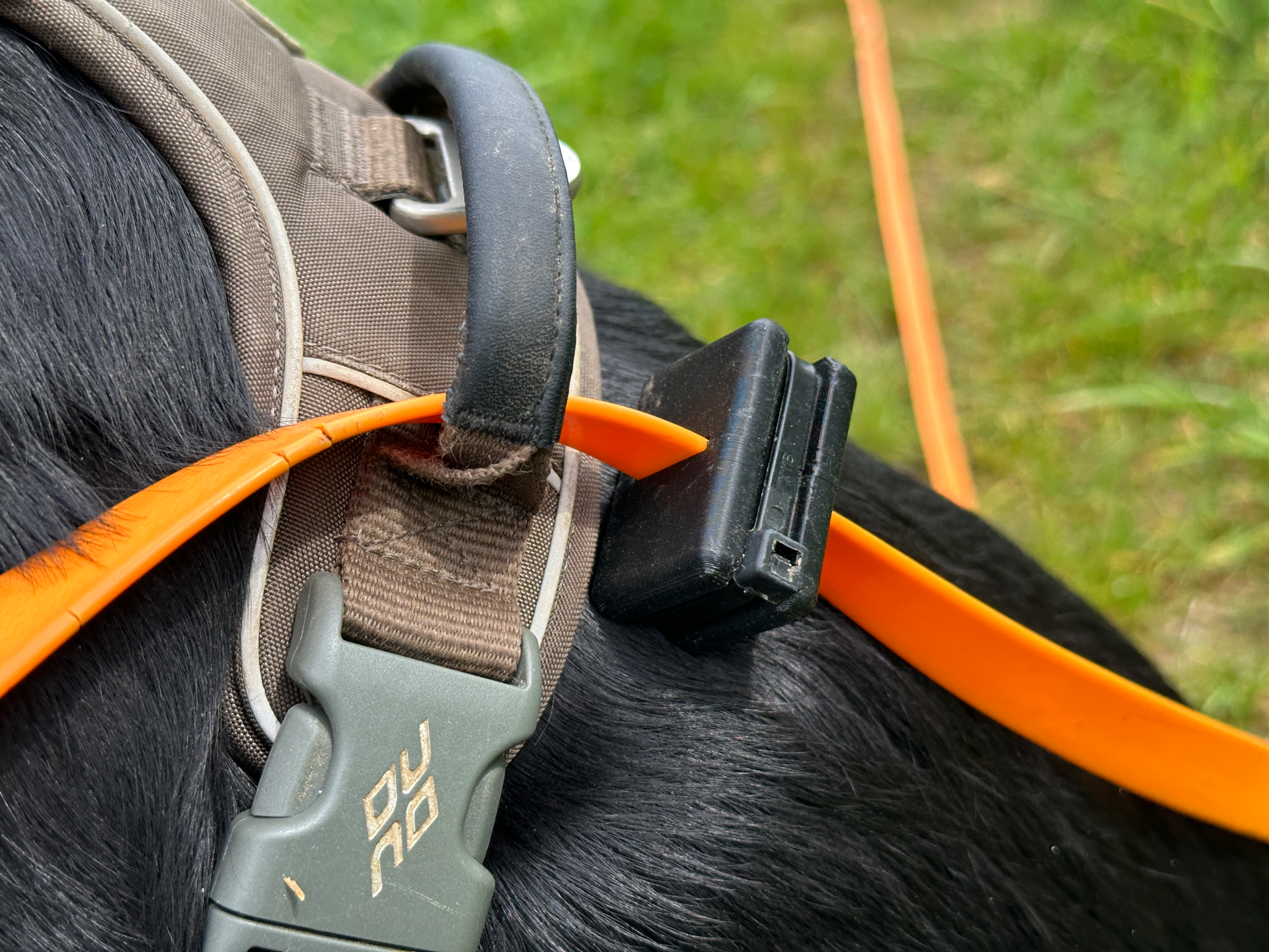 Dog leash slip limiter