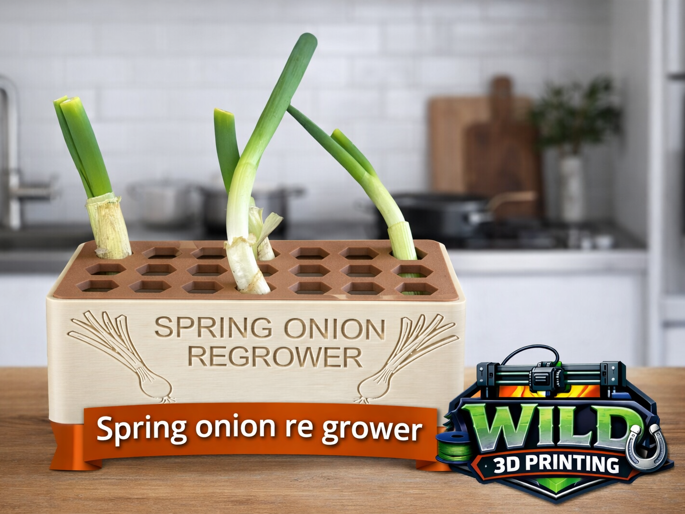 Spring Onion Re Grow Planter / Pot