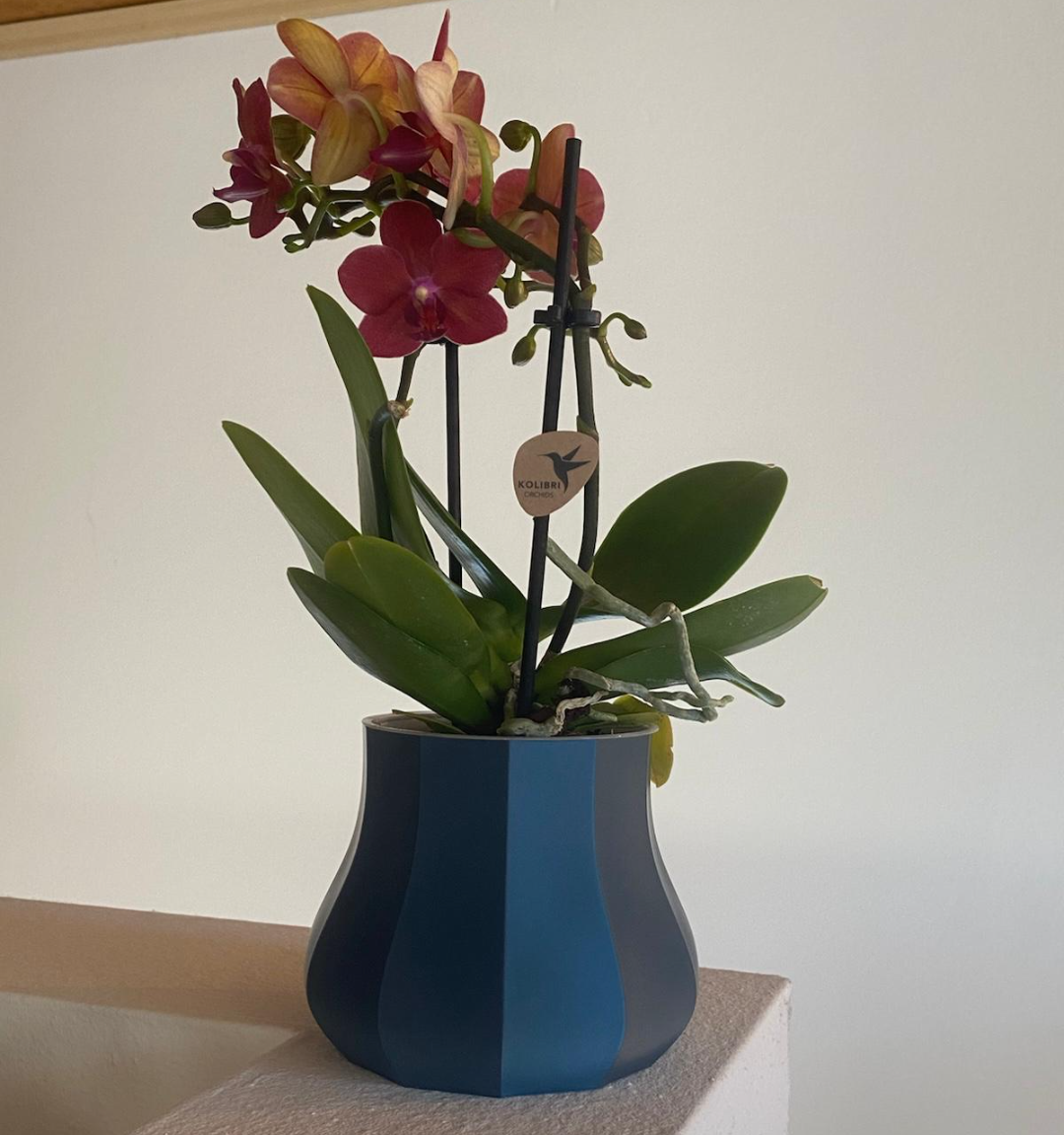 Kant Vase