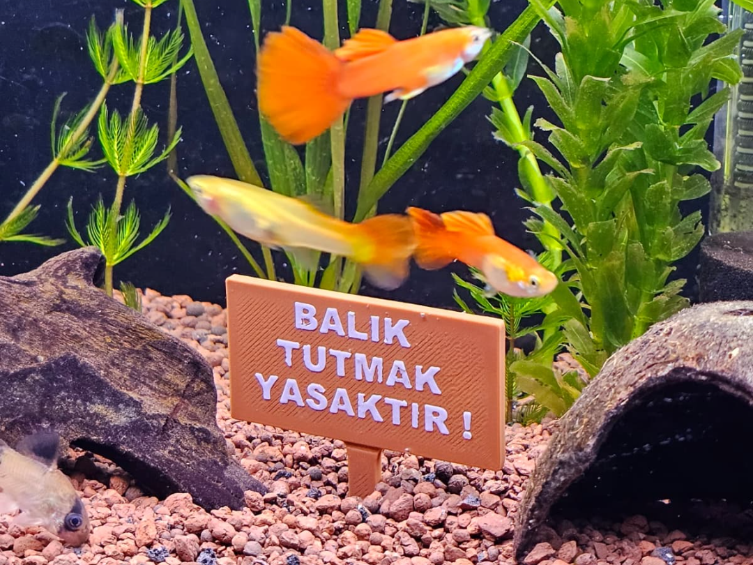 BALIK TUTMAK YASAKTIR!