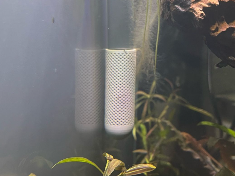 Aqua Clear Filter - Shrimp & Fry Safe Intake Cover