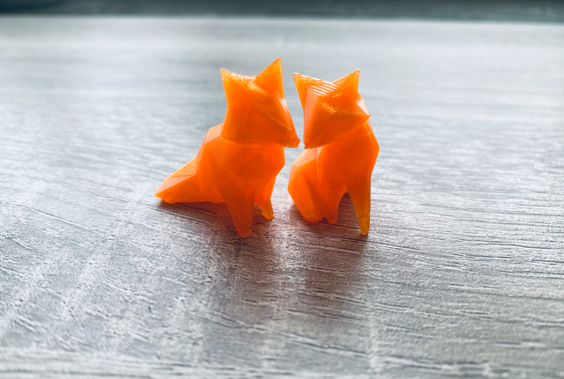 Cute Fox Couple