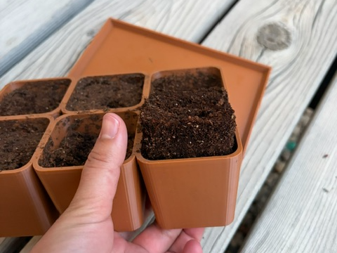 Seedling Tray with Removable Bottoms for Transfer