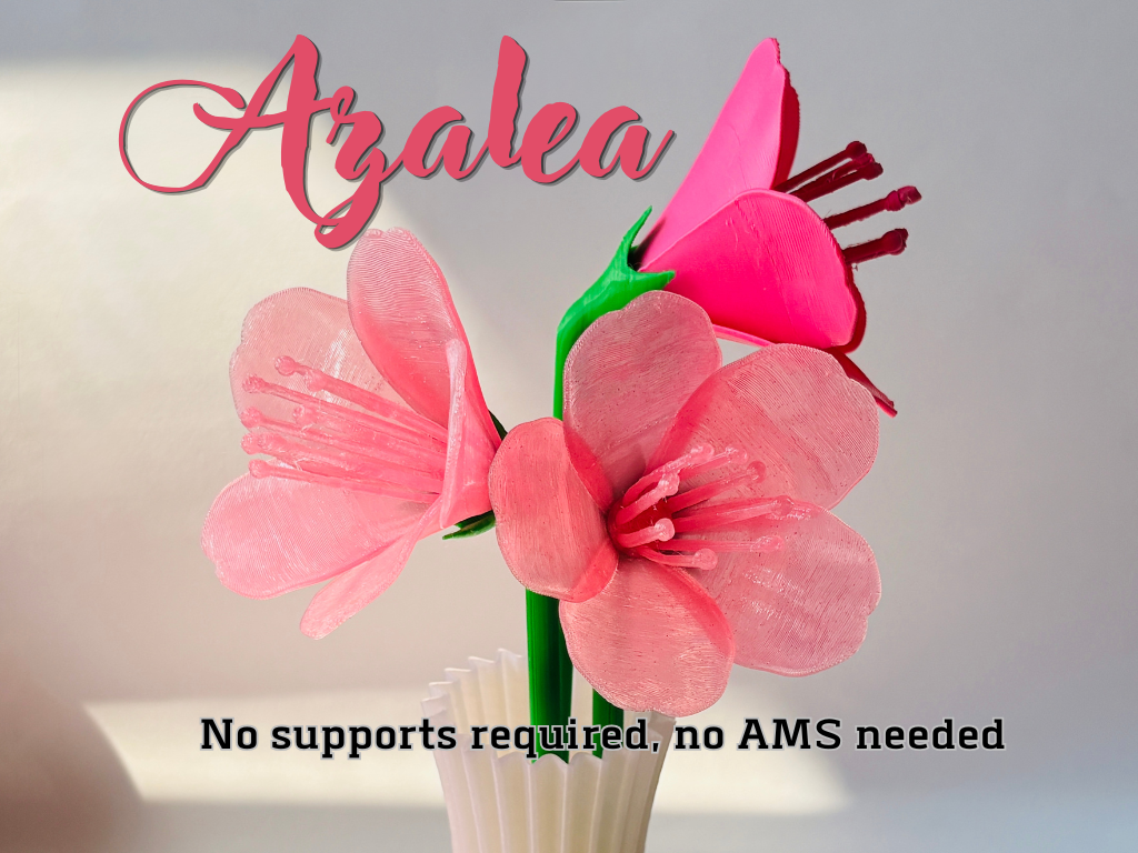 Azalea – No Supports, No AMS Required