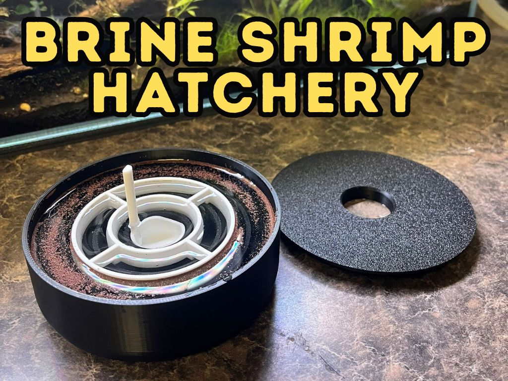 Brine shrimp hatchery dish