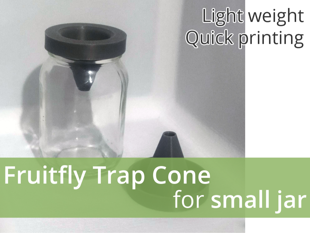 Flytrap / Fruitfly Trap Cone for small jar
