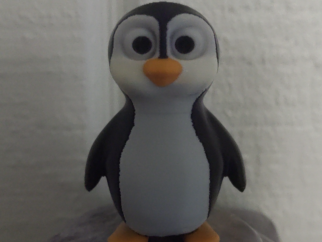 penguin