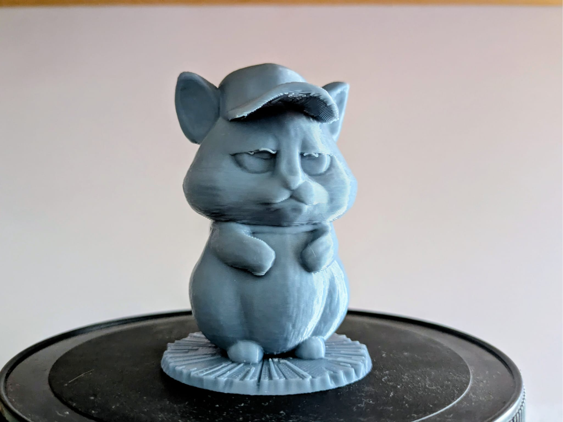Grumpy Hamster