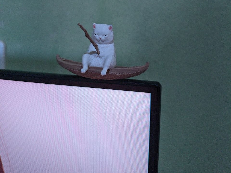 Gato Pescador en Bote Fishing Cat in a Boat