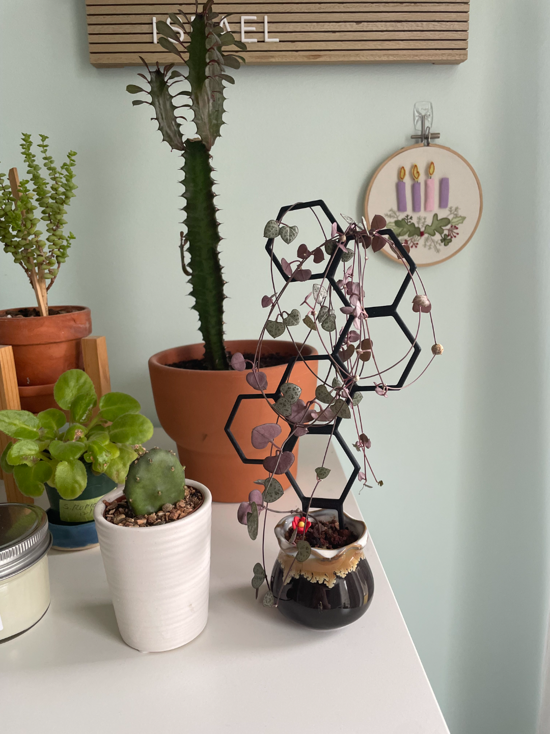 Hexagon House Plant Trellis