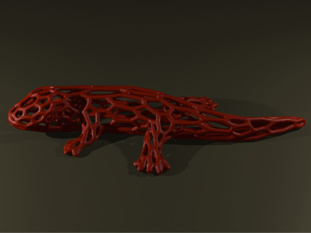 Salamander Voronoi
