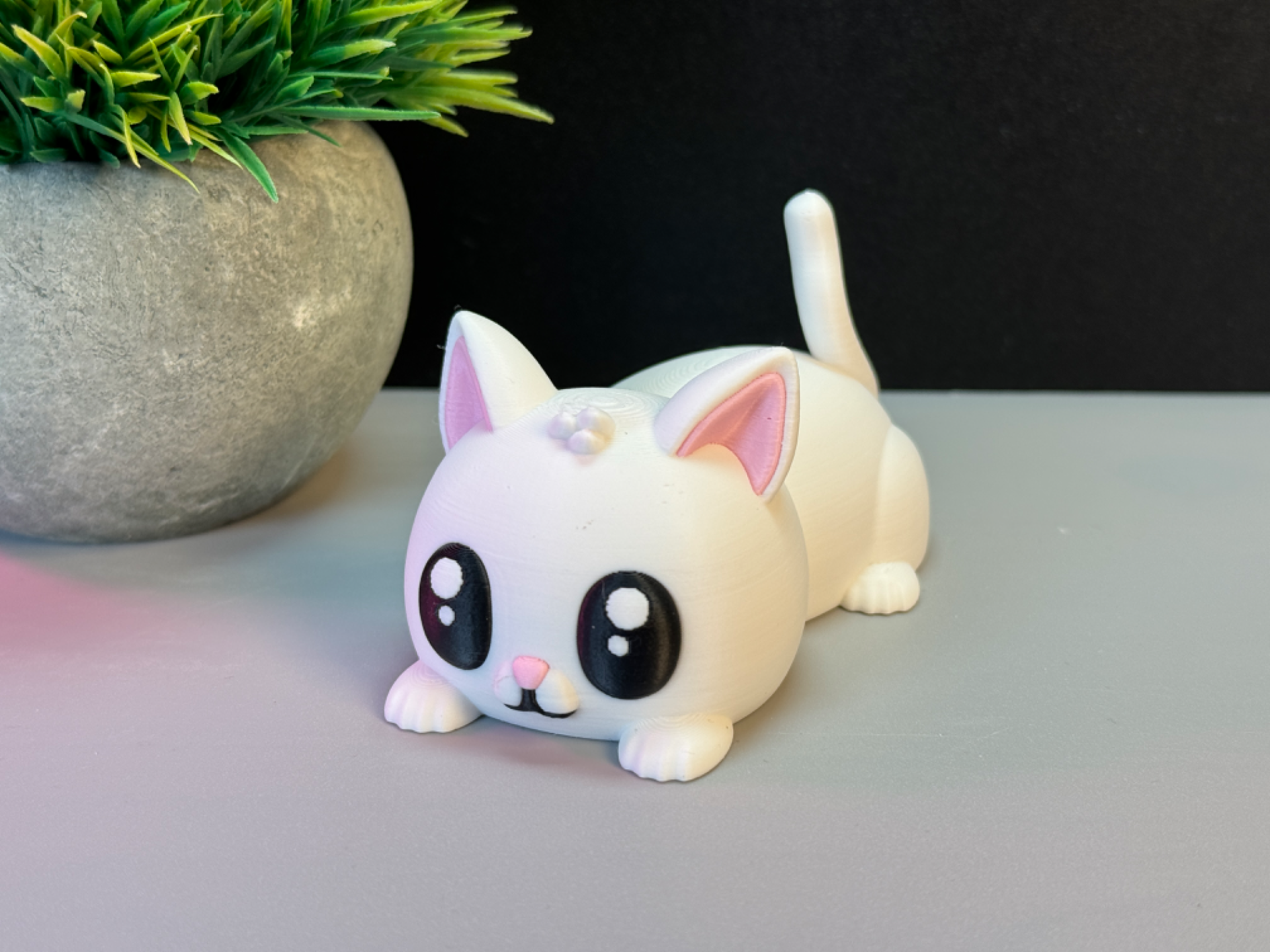 Cute Cat
