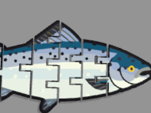 Flexi fish