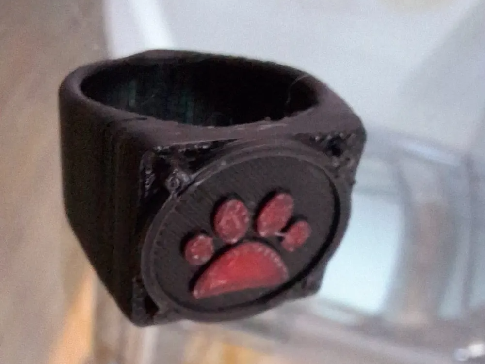 Cat Noir Ring Miraculous Ladybug and Cat Noir