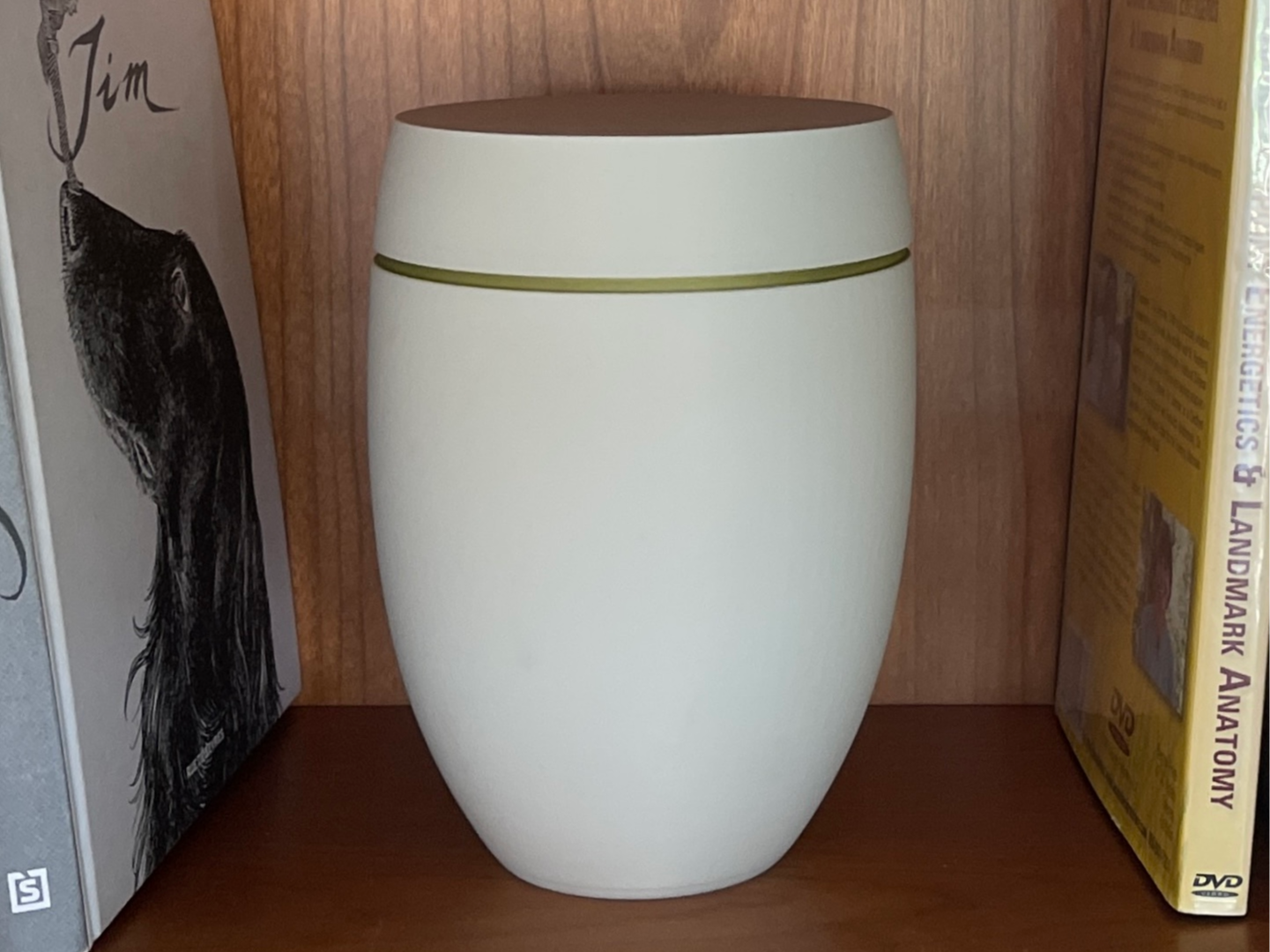 Urn with lid (alt version)