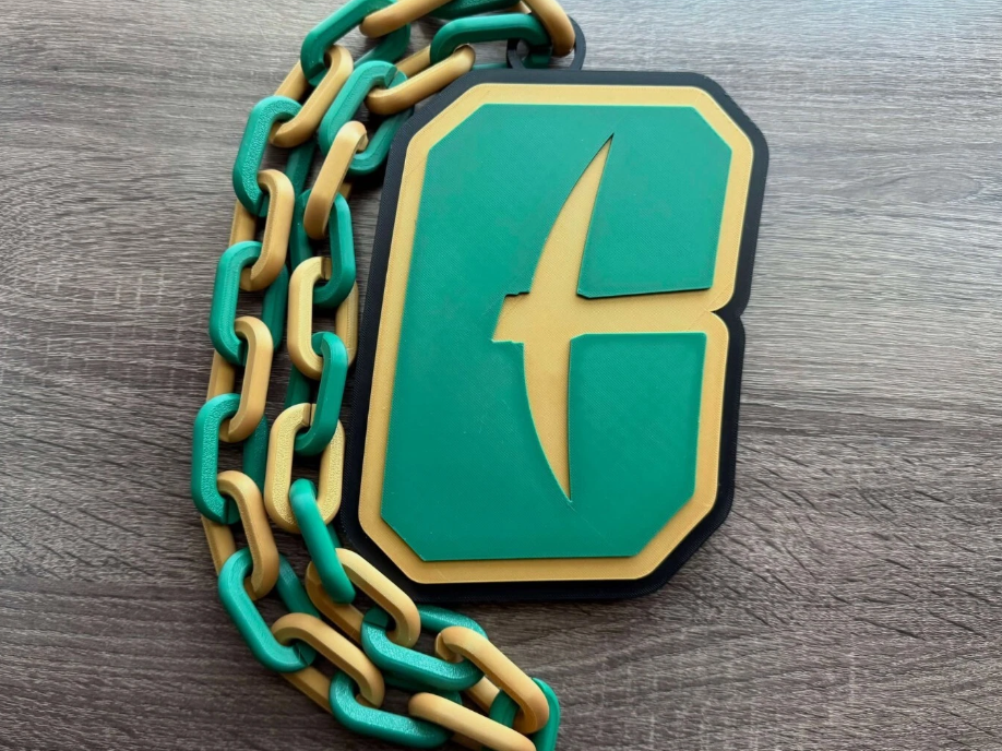 Charlotte 49ers Logo Necklace Hype Chain