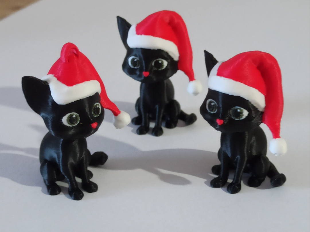 Cat with christmas hat