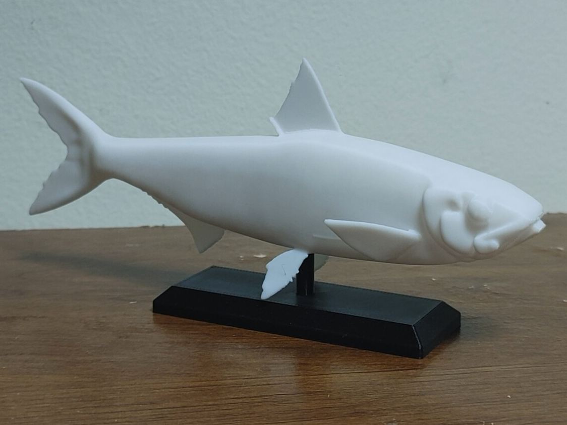 Sardine Fish Mount