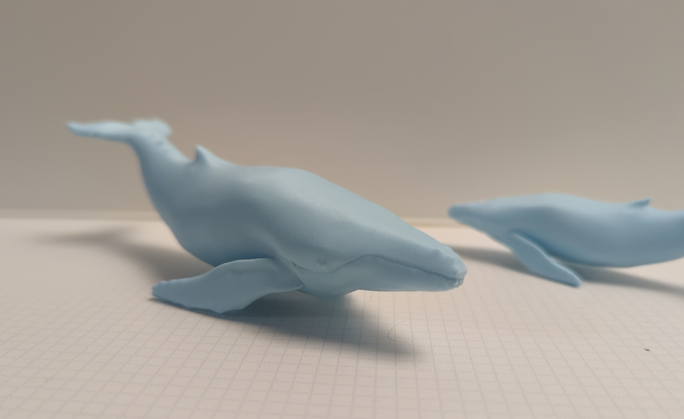Humpback Whale