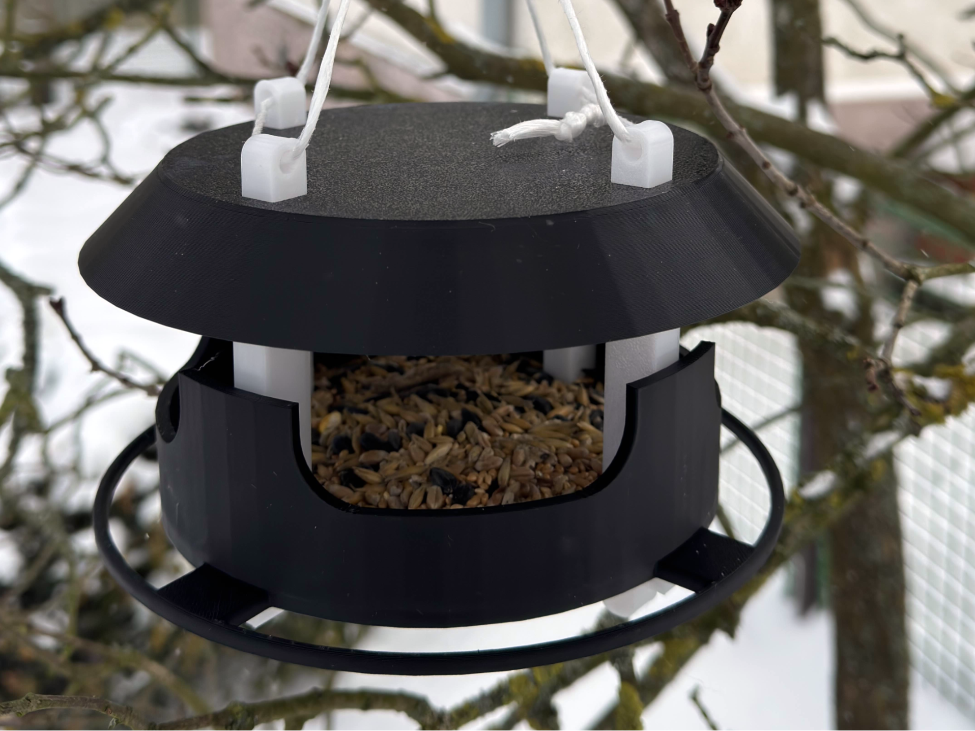 Hanging Winter Bird Feeder