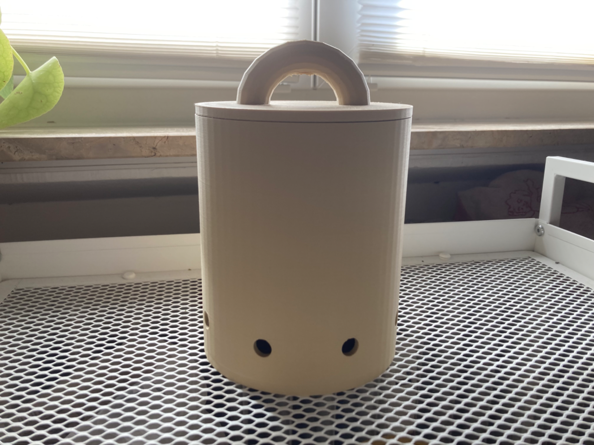 Onion Box