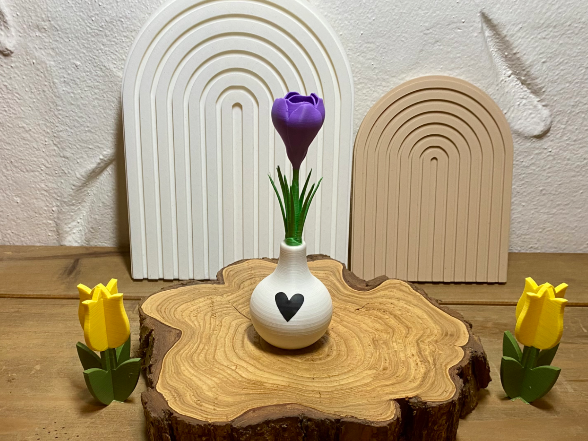 Krokus Blume mit Zwiebel