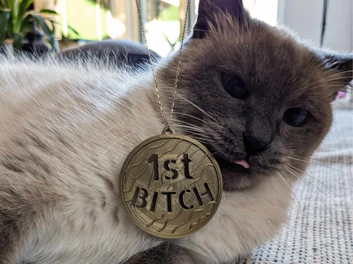 Medal for champs