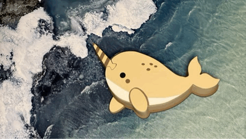 Magic Narwhal Puzzle Box for Jewlery & Trinkets