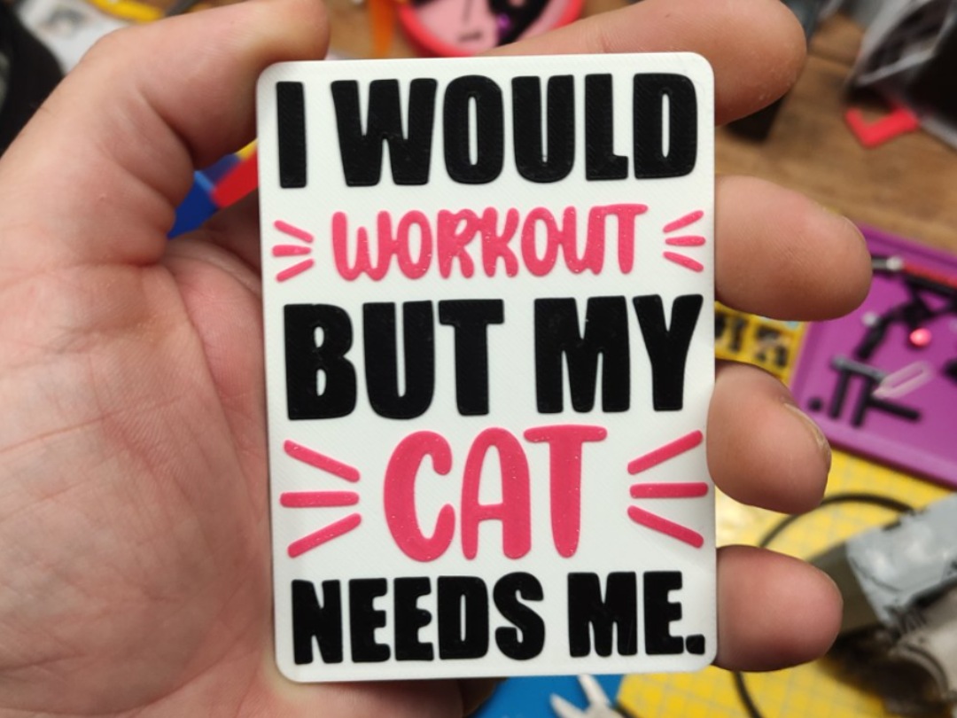 I would workout but my cat needs me