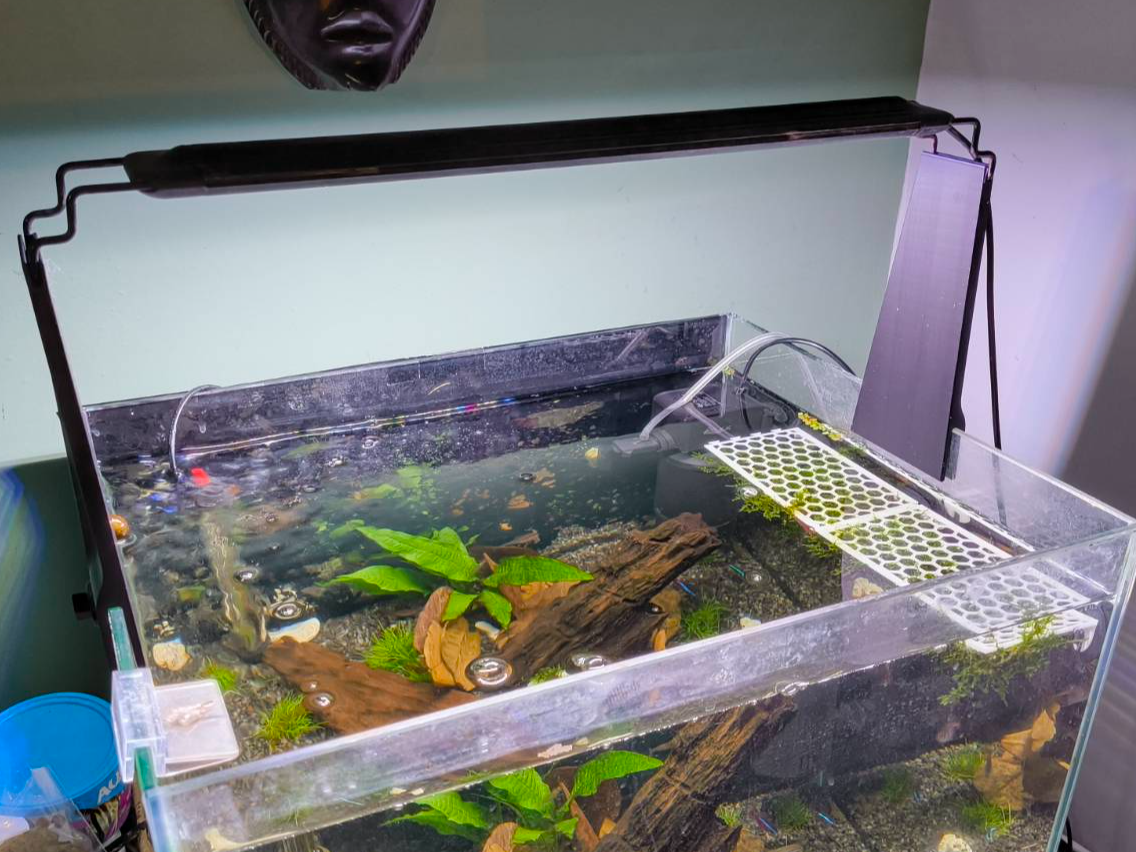 Aquarium Light Riser - Glass up to 7mm thick.