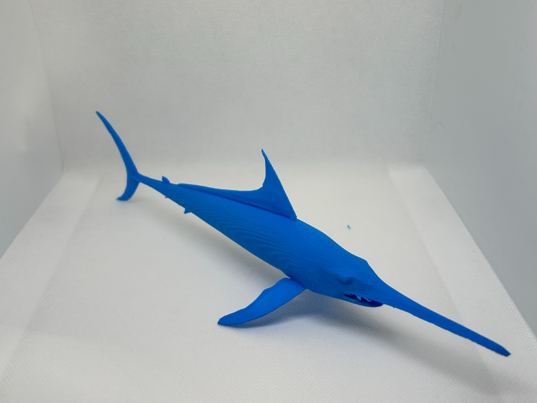 Sword Fish