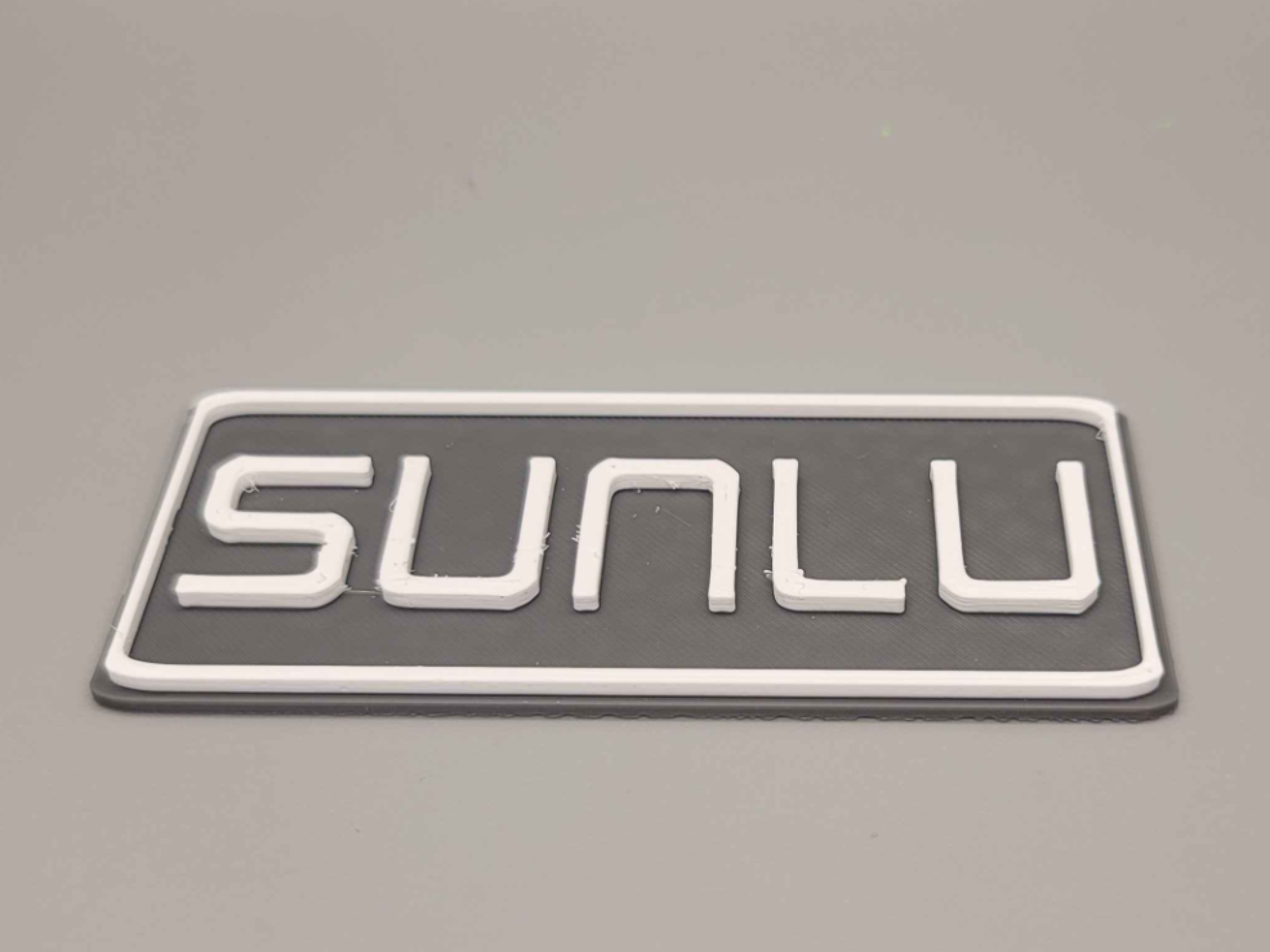 FHW SUNLU Logo with background