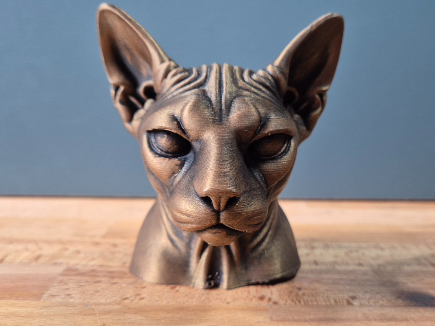 Sphynx Cat Model