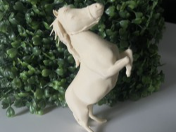 Miniature Horse