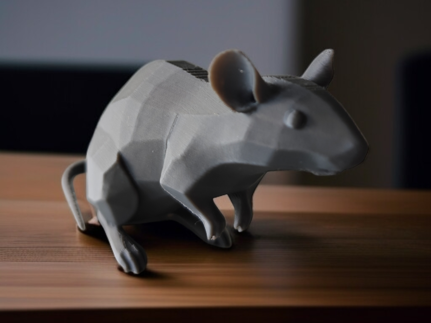 Symmetry of the Mouse