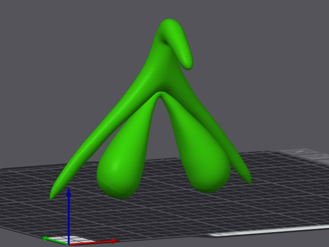 Medical Model - Clitoris