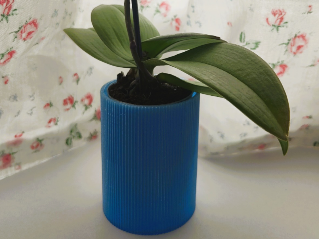 Orchid Planter