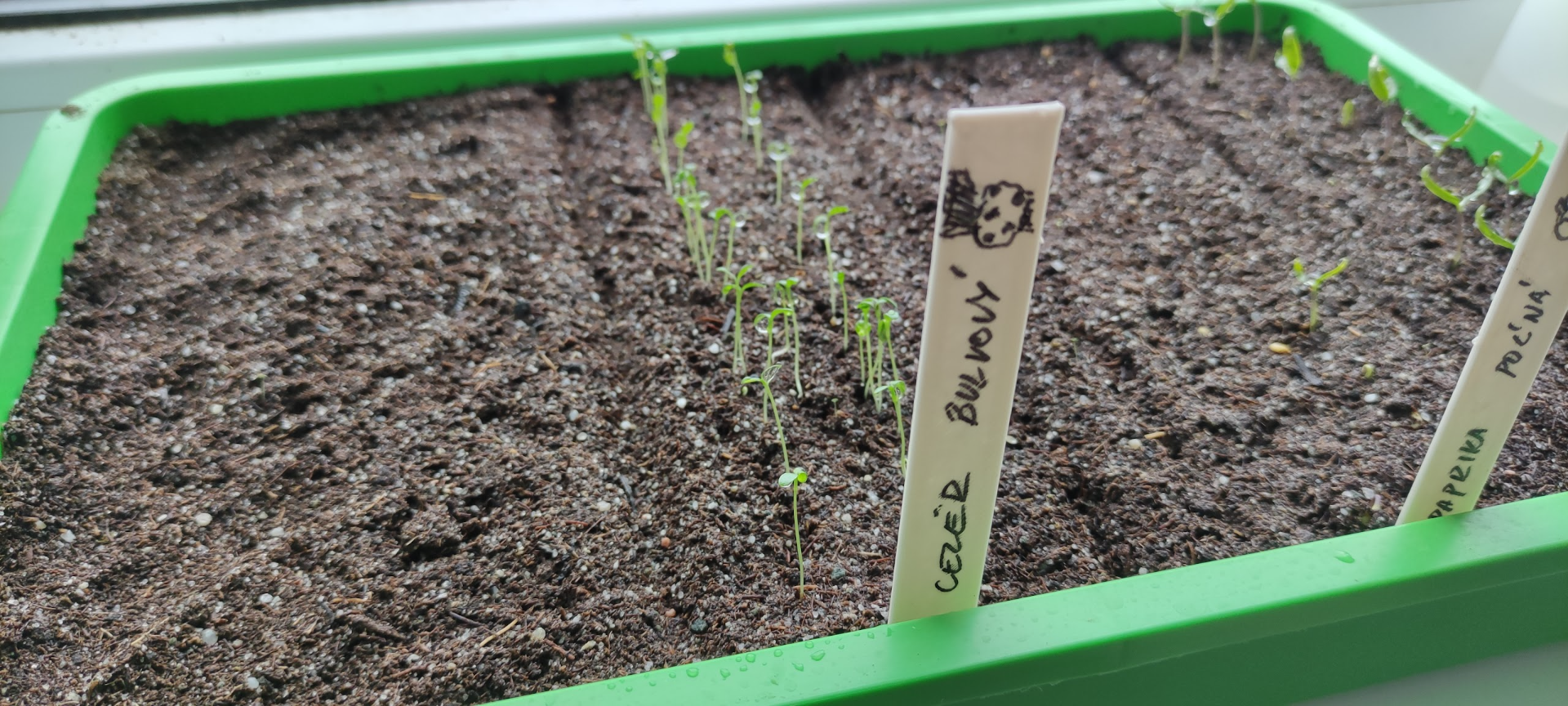 Seed markers