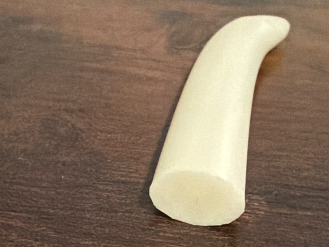 elephant tusk