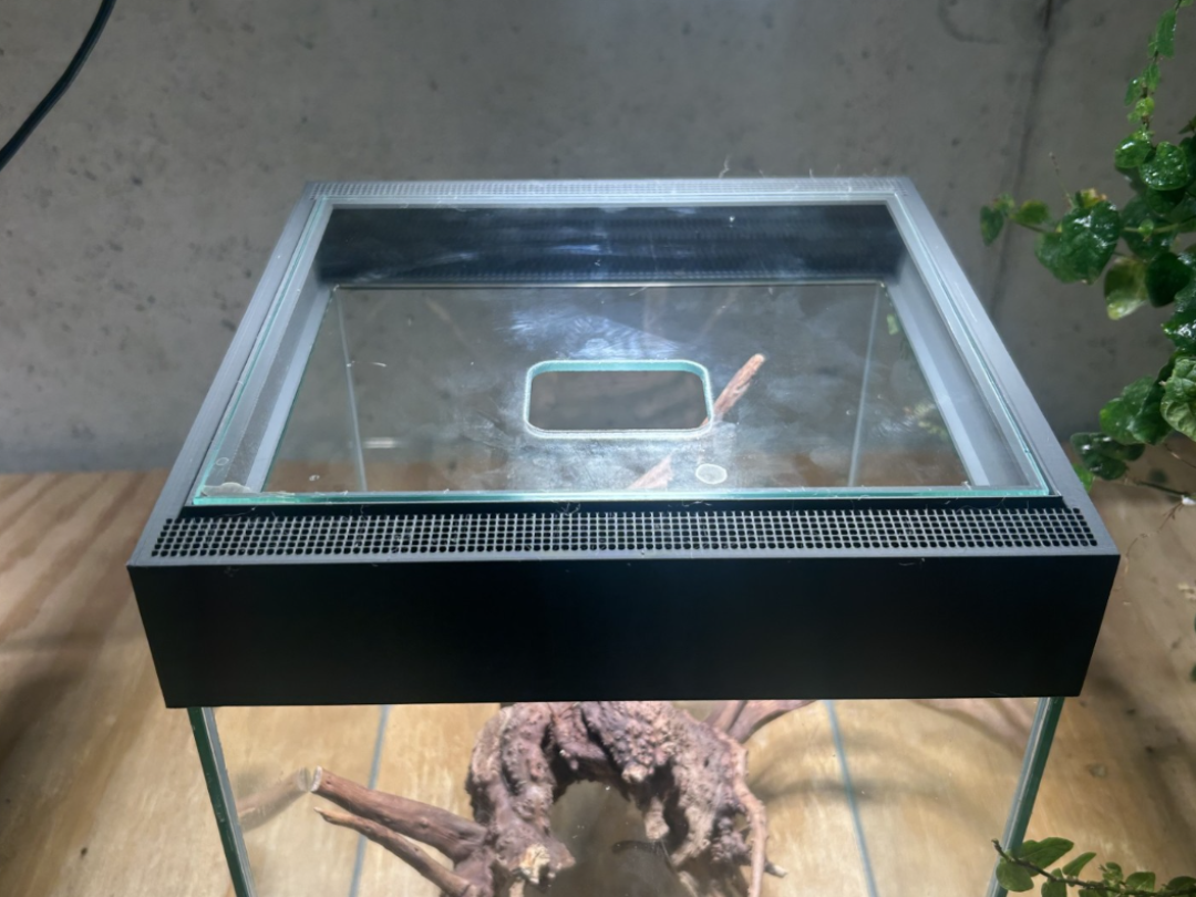 Mini Terrarium Lid