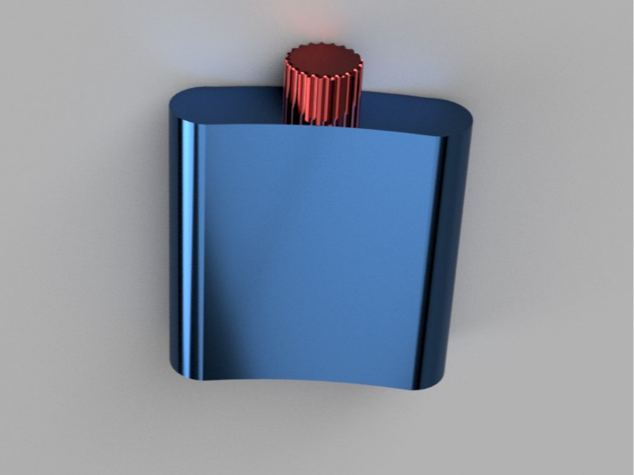 Hip Flask v1