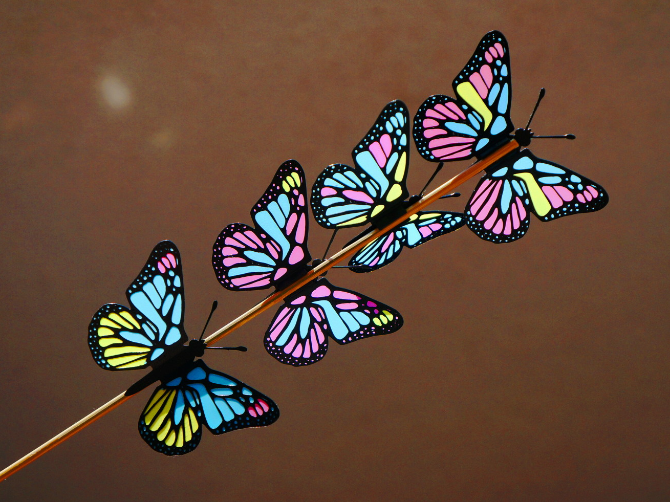 Butterfly 1color layer