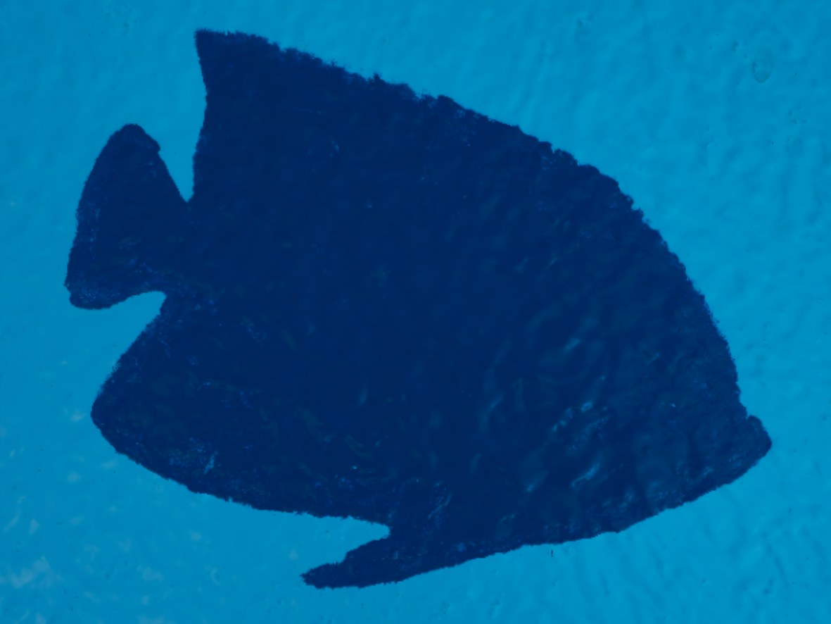 Fish Stencils - Sealife Stencils
