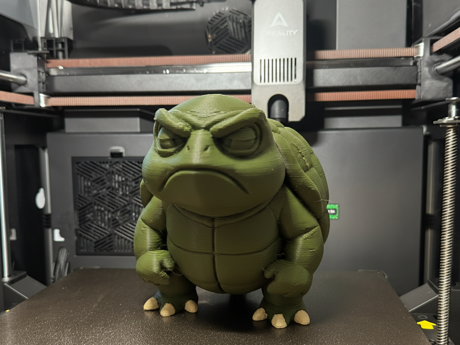 Grumpy Turtle