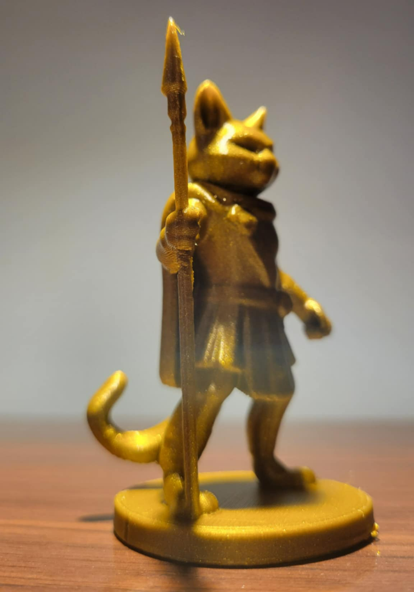Roman Cat Warrior